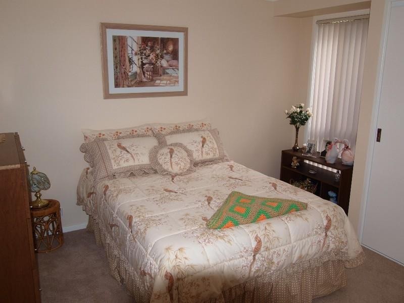 6 Banks Place, Sunshine Bay NSW 2536