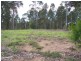 Lot 1, 00 The Estuary Estate, Mossy Point NSW 2537