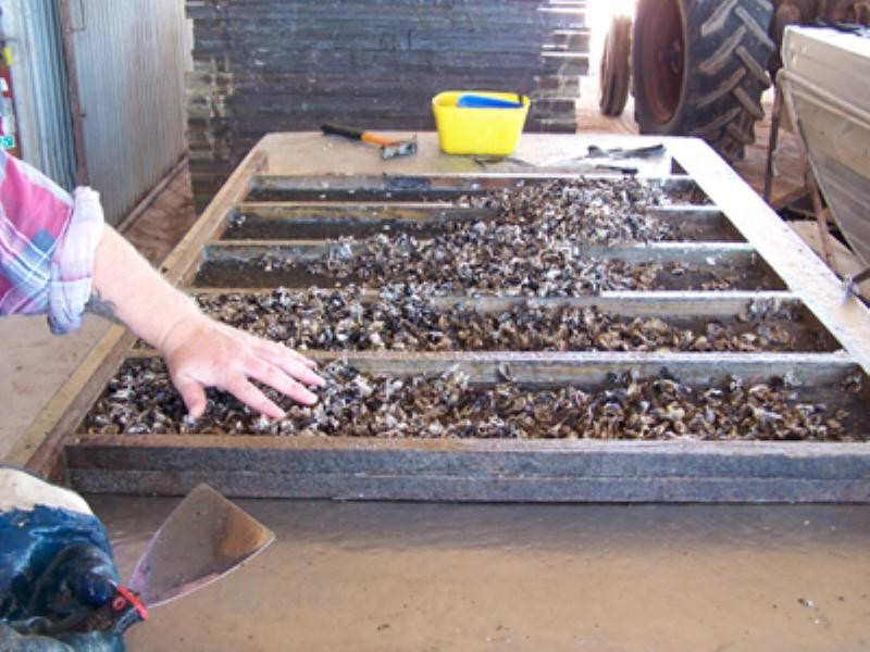 Shed 139 Lattas Point Road, Batemans Bay NSW 2536