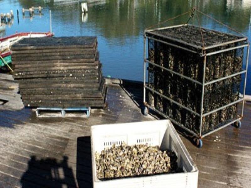 Shed 139 Lattas Point Road, Batemans Bay NSW 2536