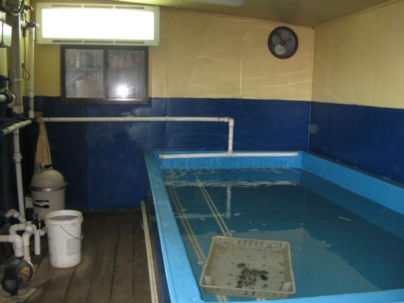 Shed 139 Lattas Point Road, Batemans Bay NSW 2536