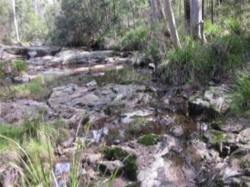 484 Larrys Mountain Road, Moruya NSW 2537