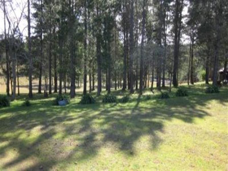 484 Larrys Mountain Road, Moruya NSW 2537