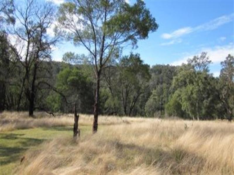 484 Larrys Mountain Road, Moruya NSW 2537