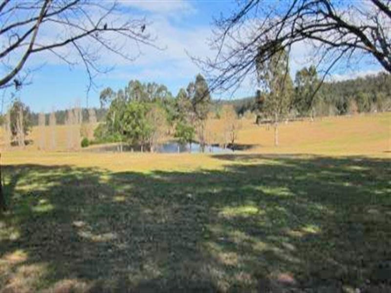 484 Larrys Mountain Road, Moruya NSW 2537