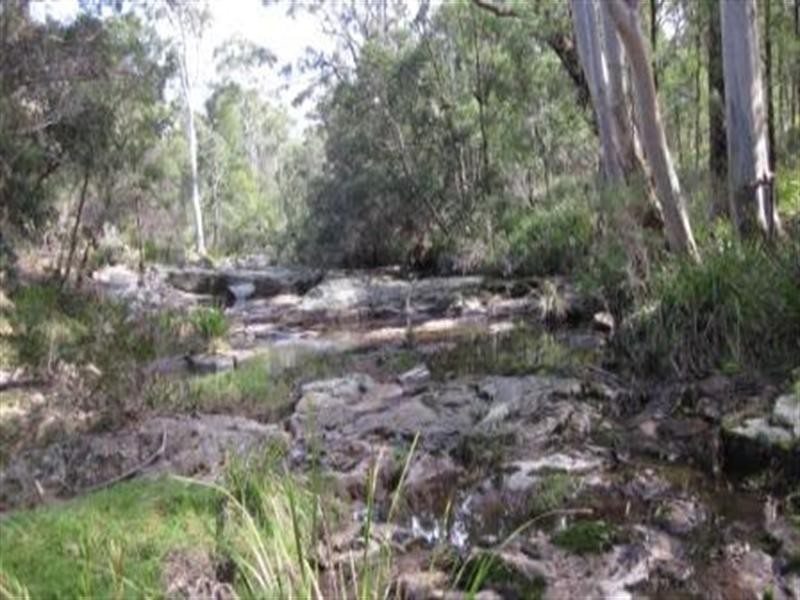 484 Larrys Mountain Road, Moruya NSW 2537