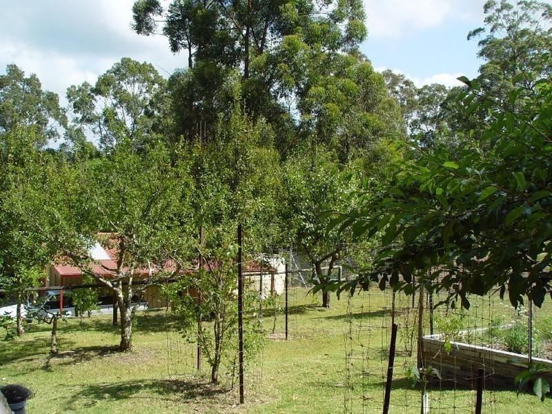 11189 Princes Highway, Benandarah NSW 2536