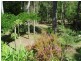 11189 Princes Highway, Benandarah NSW 2536