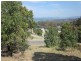 7 Broomfield Crescent, Long Beach NSW 2536