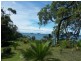 141 Northcove Road, Long Beach NSW 2536