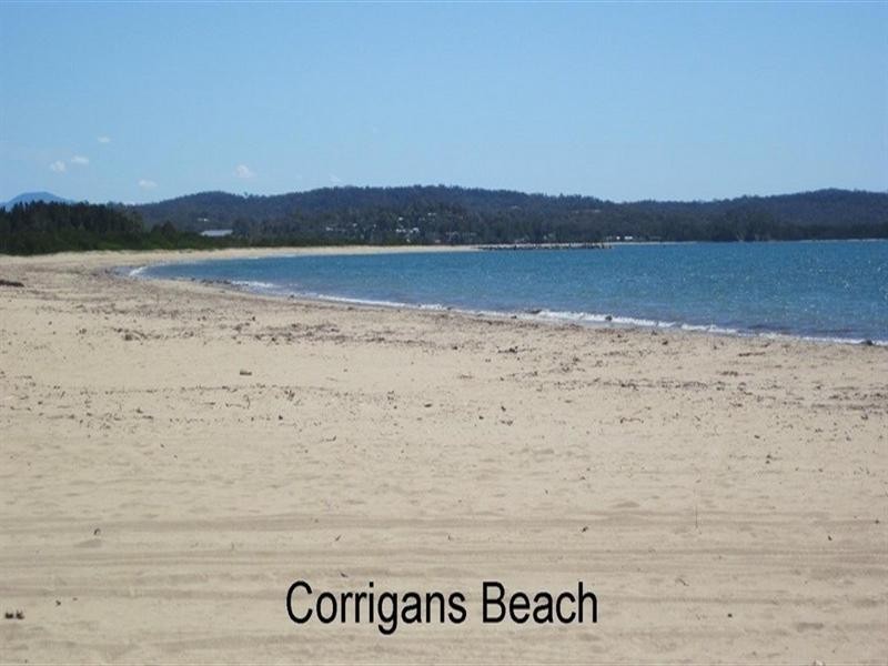 12 Oakwood Way, Catalina NSW 2536