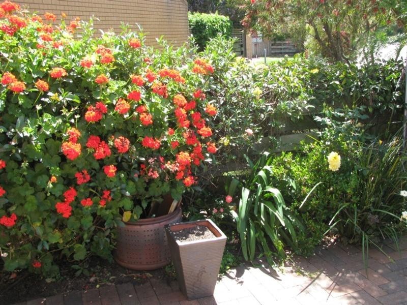 17/61-69 Sunpatch Parade, Tomakin NSW 2537