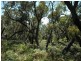 101 Burri Point Road, Guerilla Bay NSW 2536