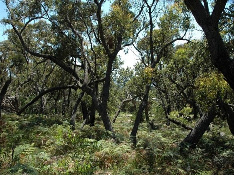 101 Burri Point Road, Guerilla Bay NSW 2536