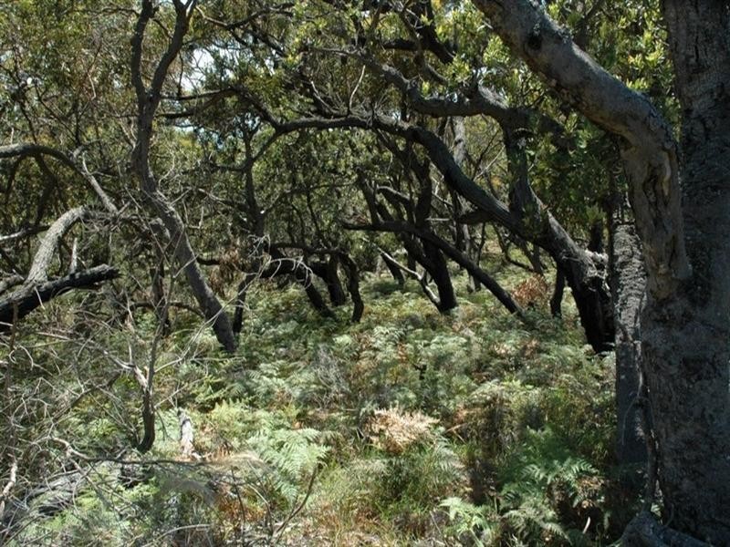 101 Burri Point Road, Guerilla Bay NSW 2536