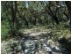 101 Burri Point Road, Guerilla Bay NSW 2536