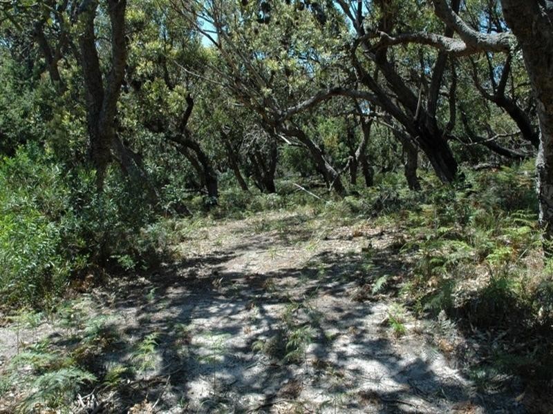 101 Burri Point Road, Guerilla Bay NSW 2536