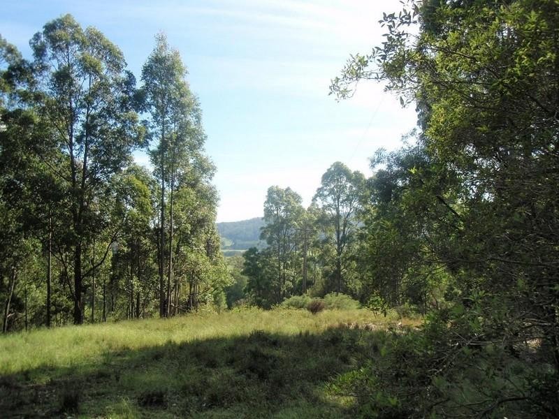 639 Larrys Mountain Road, Mogendoura NSW 2537