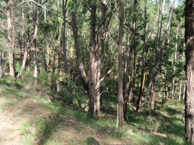 639 Larrys Mountain Road, Mogendoura NSW 2537