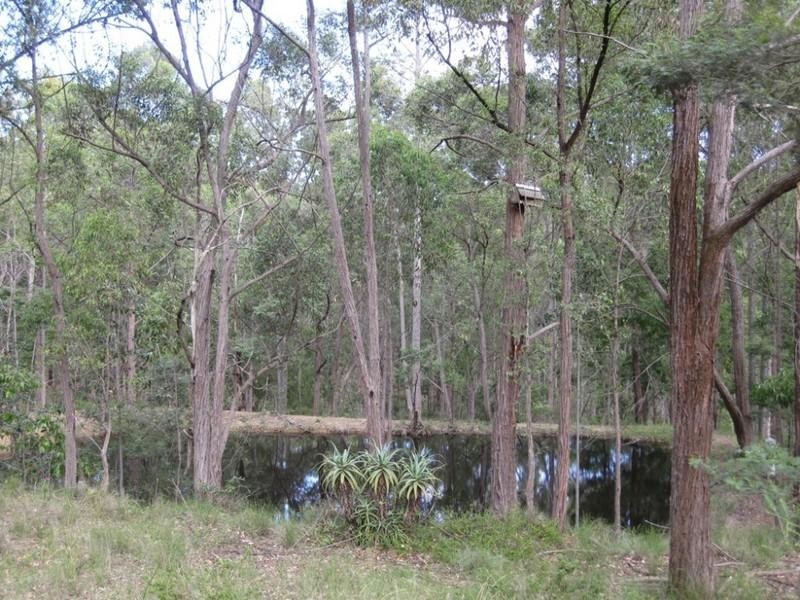 639 Larrys Mountain Road, Mogendoura NSW 2537