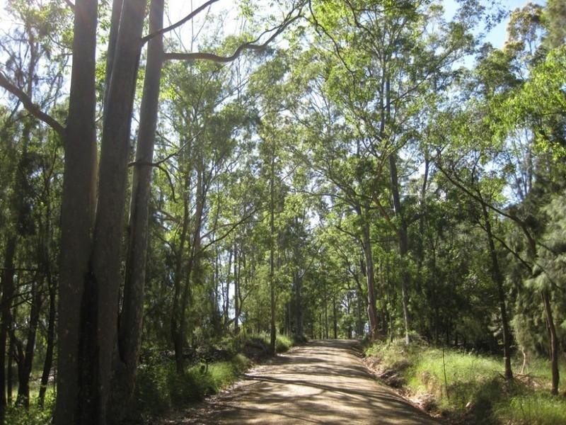 639 Larrys Mountain Road, Mogendoura NSW 2537