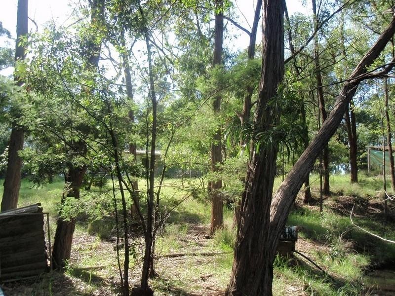 639 Larrys Mountain Road, Moruya NSW 2537