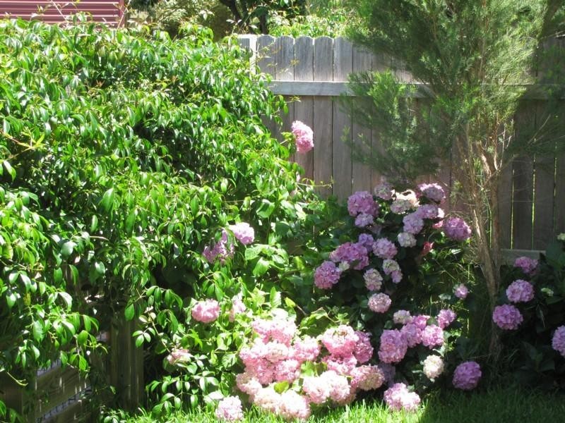 42A Candlagan Drive, Broulee NSW 2537