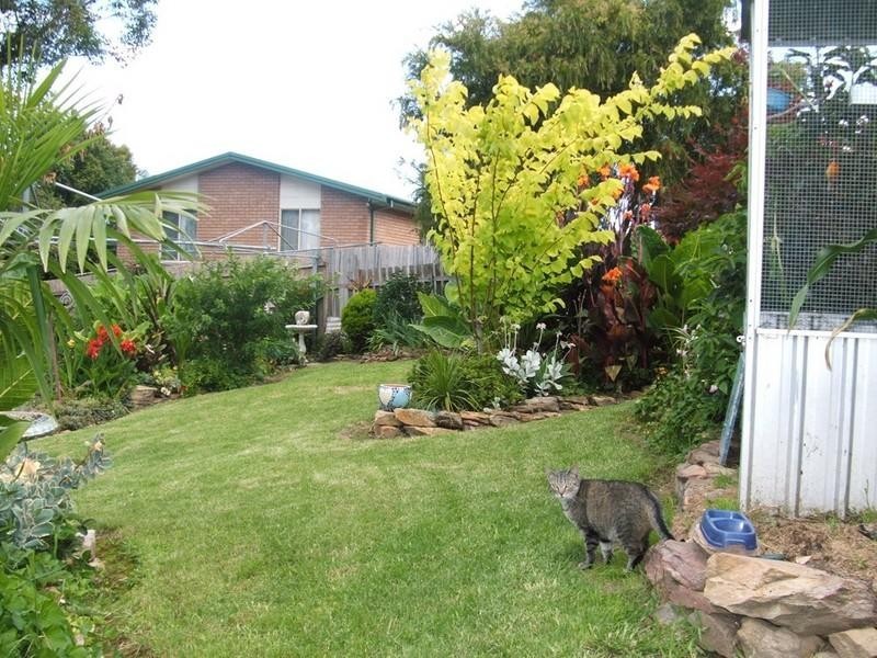 5 Jeffery Place, Moruya NSW 2537