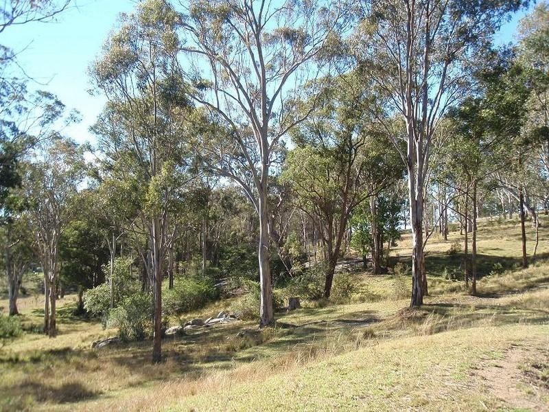 Lot 3 Turnbulls Lane, Moruya NSW 2537