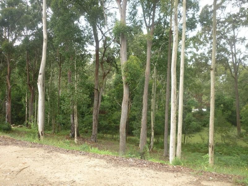 14 Tree Fern Place, Long Beach NSW 2536