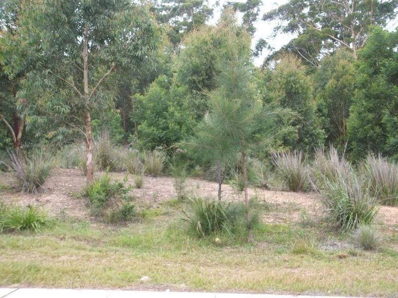 113 Courtenay Crescent, Long Beach NSW 2536