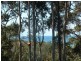 20 Sanctuary Place, Catalina NSW 2536