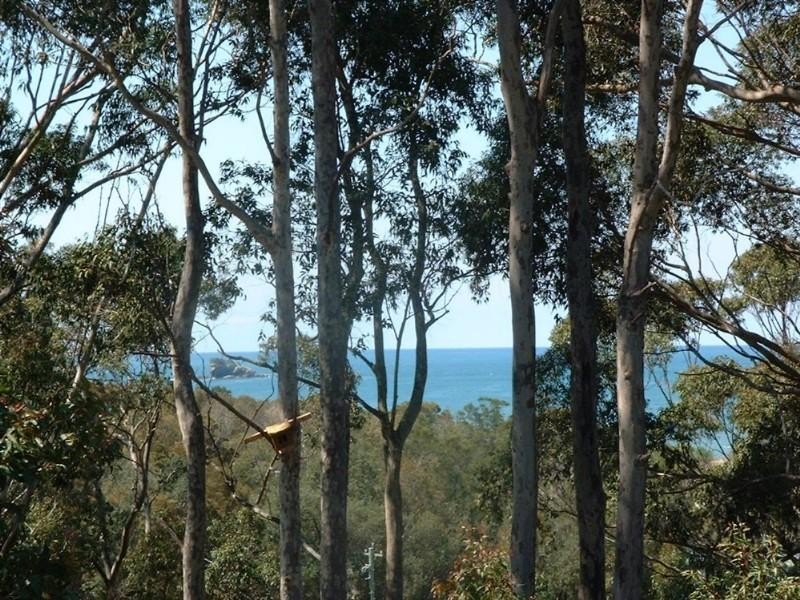 20 Sanctuary Place, Catalina NSW 2536