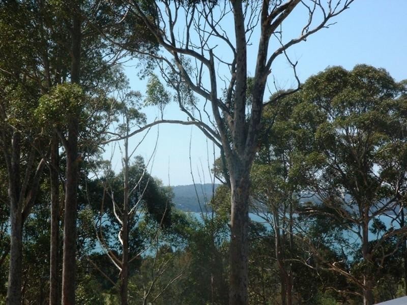 20 Sanctuary Place, Catalina NSW 2536