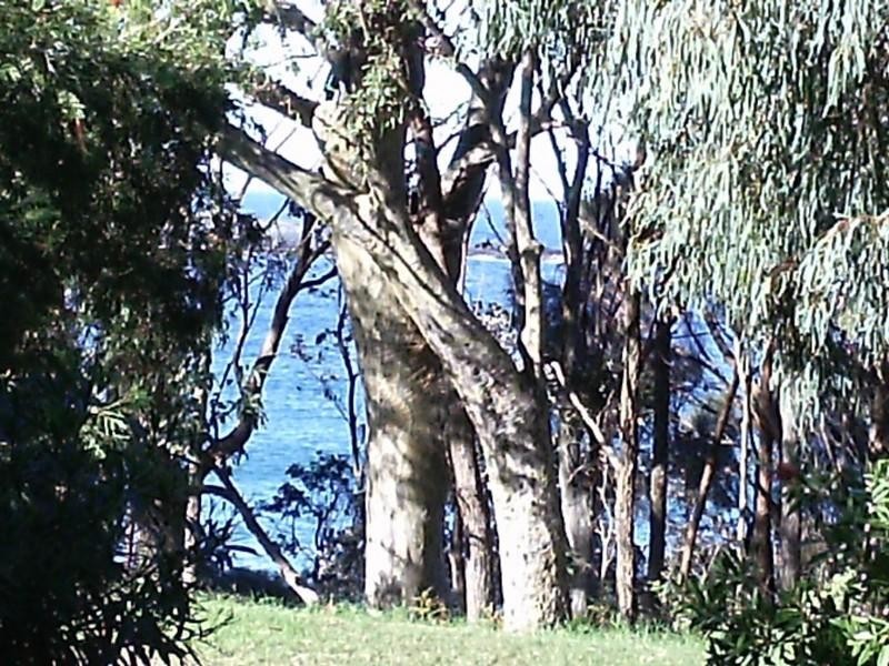 1/35 Fairview Drive, Lilli Pilli NSW 2536