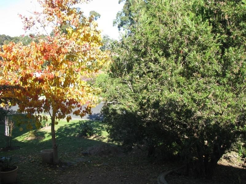 14 Wentworth Avenue, Sunshine Bay NSW 2536