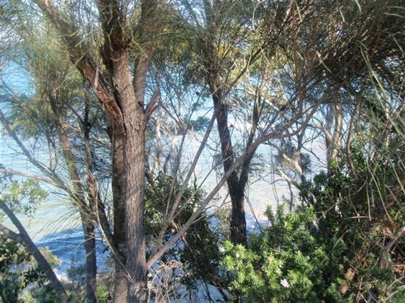 151 Northcove Road, Long Beach NSW 2536