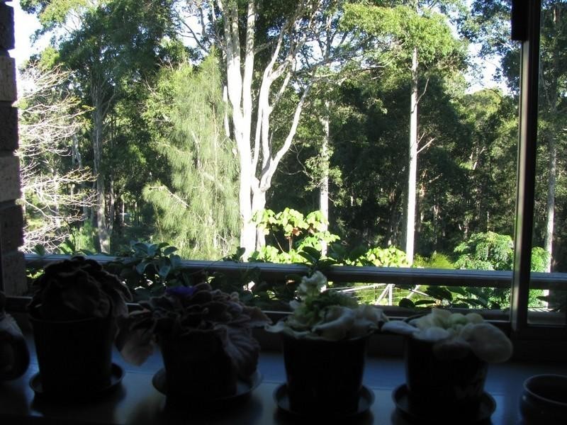 6 Lewana Close, Lilli Pilli NSW 2536