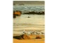 202 Mystery Bay Road, Mystery Bay NSW 2546