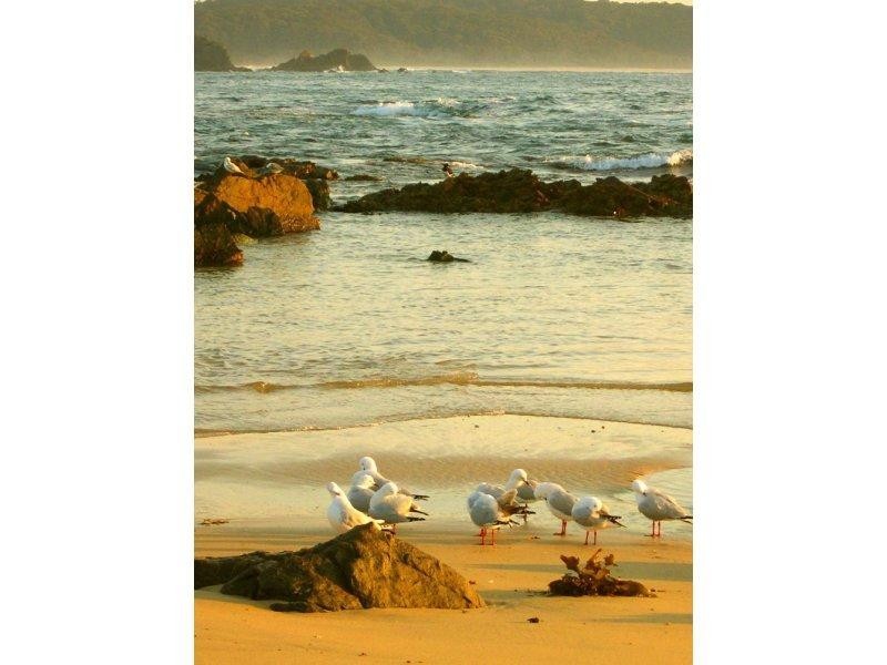 202 Mystery Bay Road, Mystery Bay NSW 2546