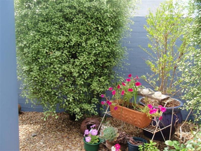 77A Sandy Place, Long Beach NSW 2536