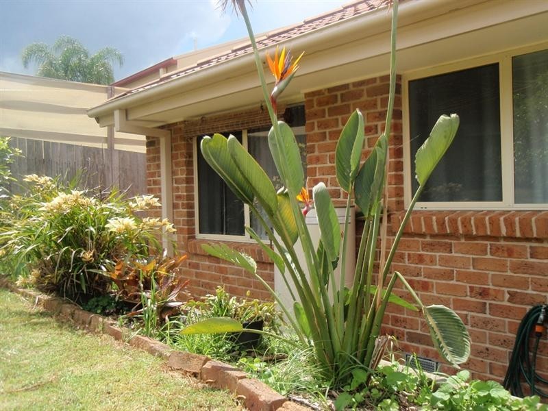 14 Wentworth Avenue, Sunshine Bay NSW 2536