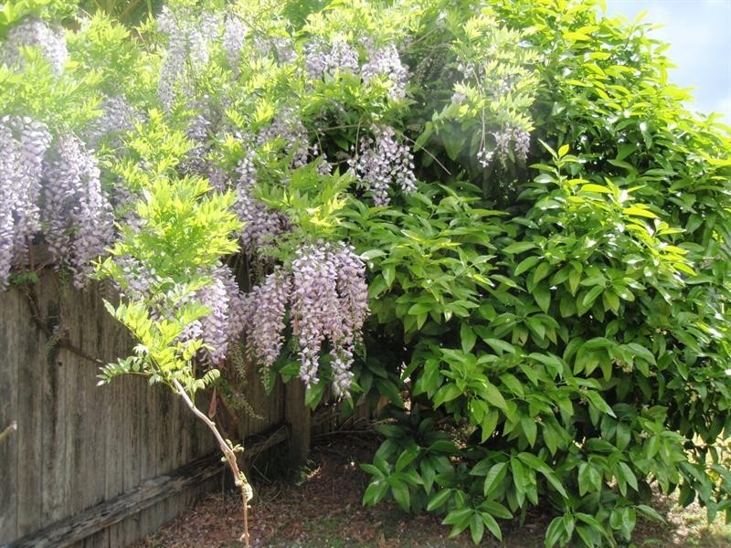 14 Wentworth Avenue, Sunshine Bay NSW 2536