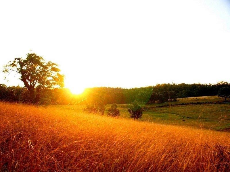 154 Hawdons Road, Moruya NSW 2537