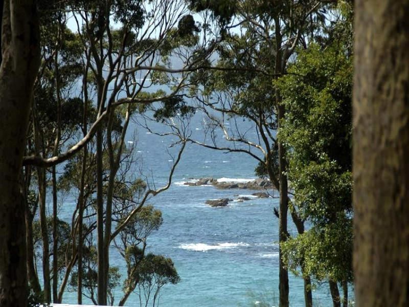 8 Lilli Pilli Road, Lilli Pilli NSW 2536