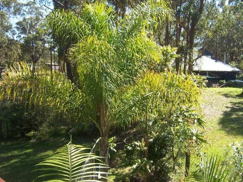 3 Fern Drive, South Durras NSW 2536