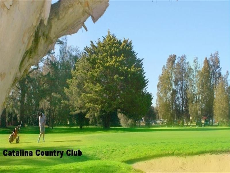 62 Catalina Drive, Catalina NSW 2536