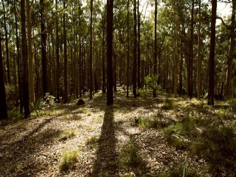 LOT 12 George Bass Drive, Malua Bay NSW 2536