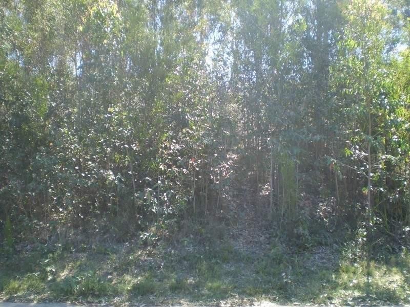 20 Oakwood Way, Catalina NSW 2536