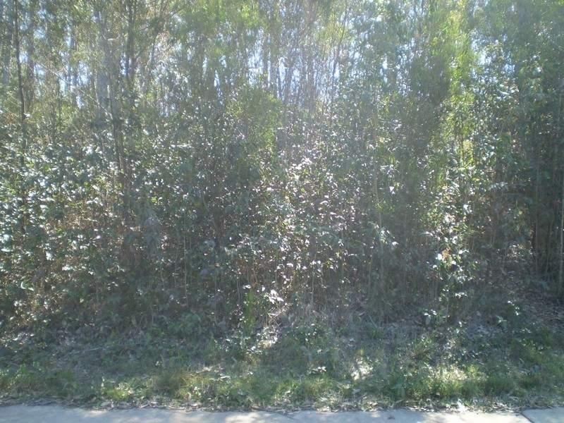 20 Oakwood Way, Catalina NSW 2536